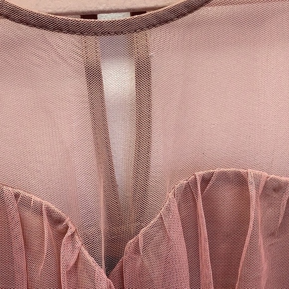 Candalite Size Petite Small Blush Mesh Hombre Style Dress. Preloved - Picture 5 of 9